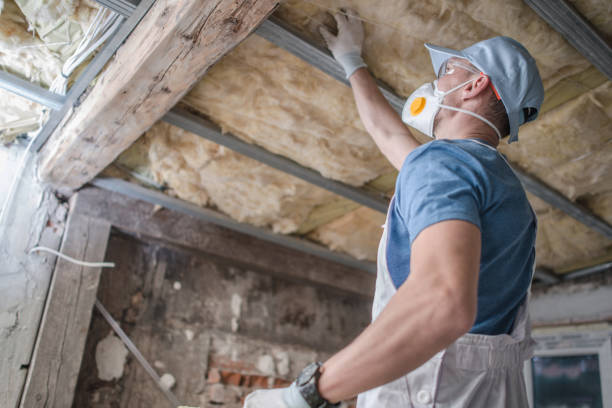 Best Residential Insulation in Greenland, AR